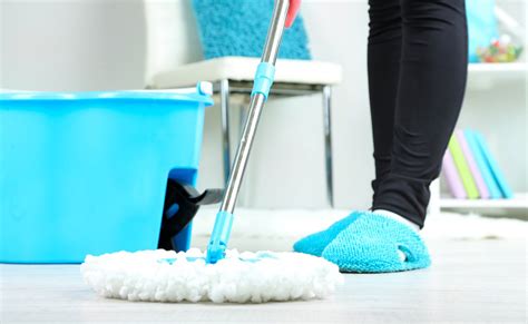 best floor cleaner for mud|best floor cleaner for mops.